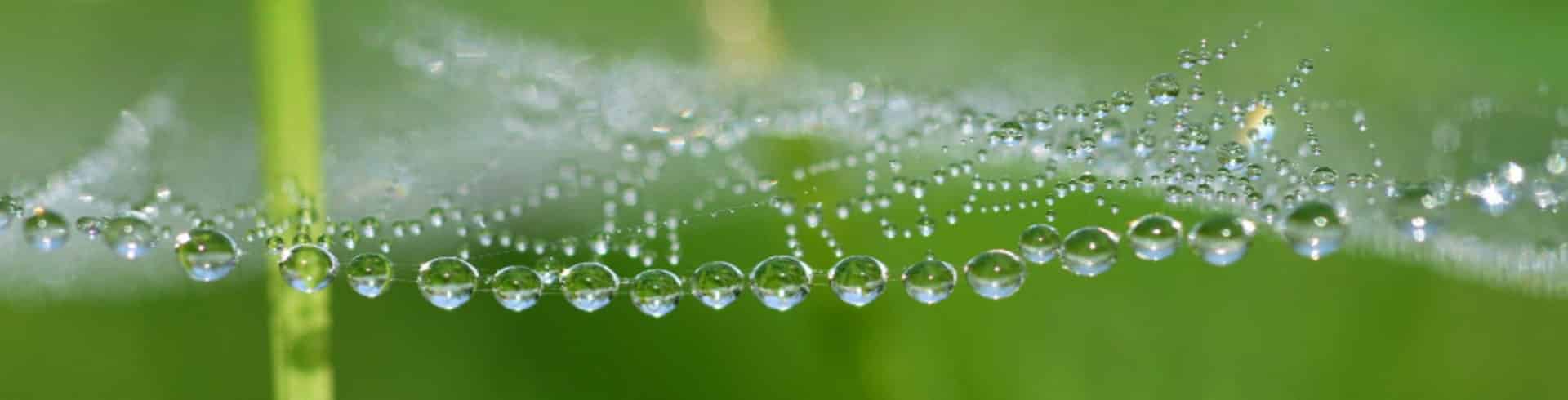 Virtuell, Zusammenarbeit, Tropfen