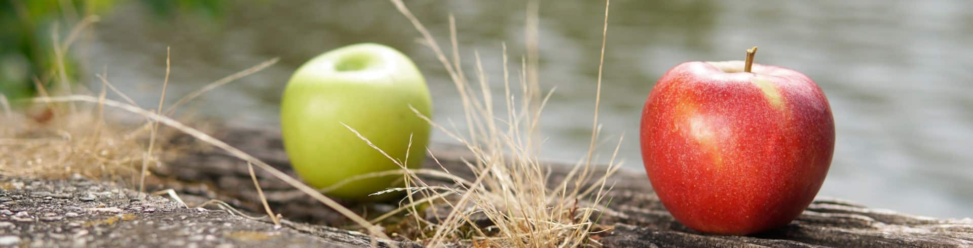 Mitarbeiterbindung BGM, Gesundheitsmanagement, Äpfel