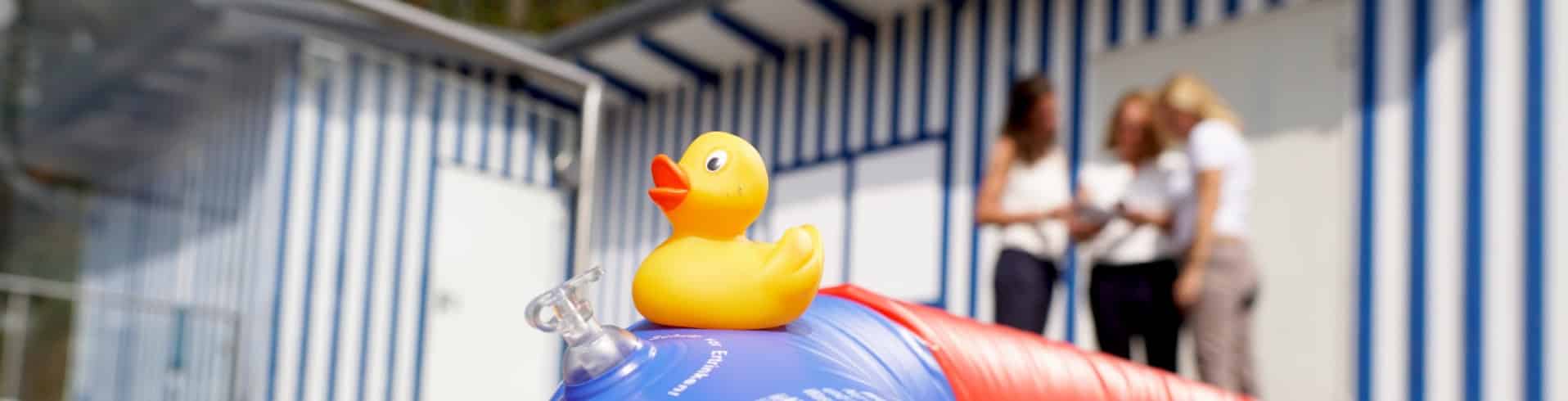 freundlichkeit, freizeitbad, Ente