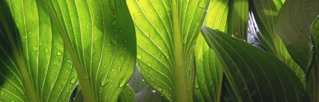 gesundheitspraevention-resilienz-selbstwirksamkeit