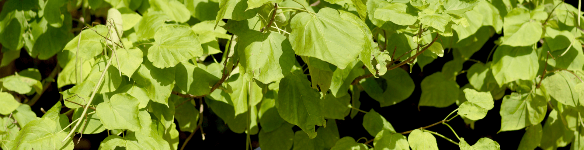 Referenzen, Coaching, Agentur für Freundlichkeit