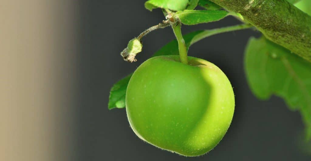 resilienz-gesundheit-foerdern-und-erhalten