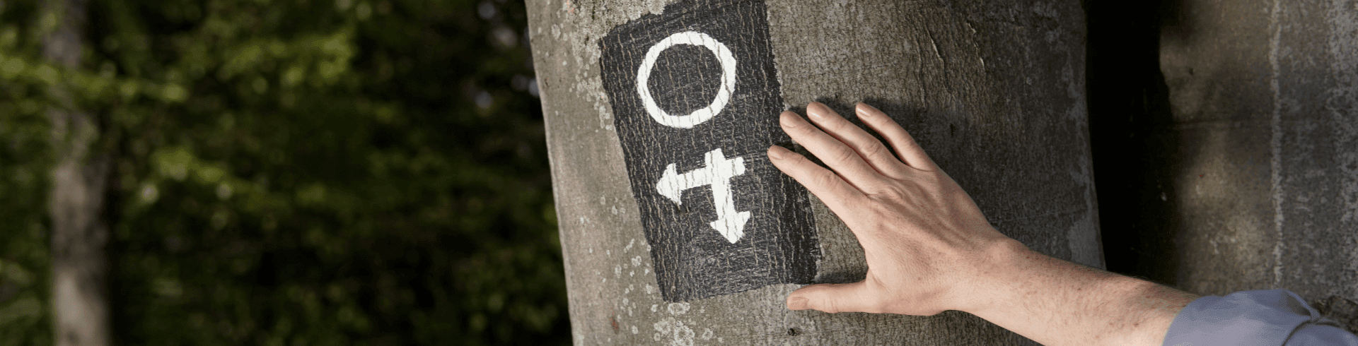 Systemischer Ansatz Weg