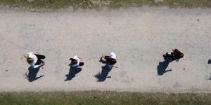 Vom Mitarbeiter zur Führungskraft Vom Mitarbeiter zur Führungskraft, Rollenwechsel, Reihe