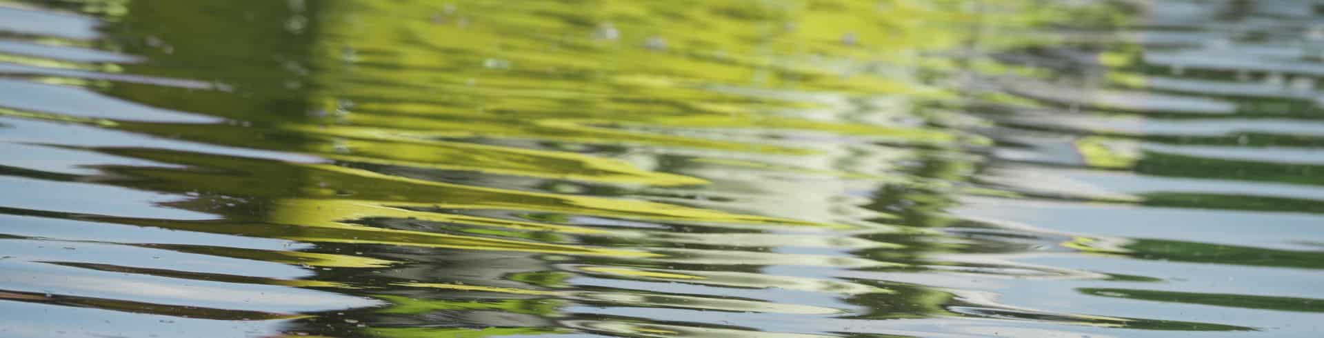 Copyright, Haftungsausschluss, Wasser