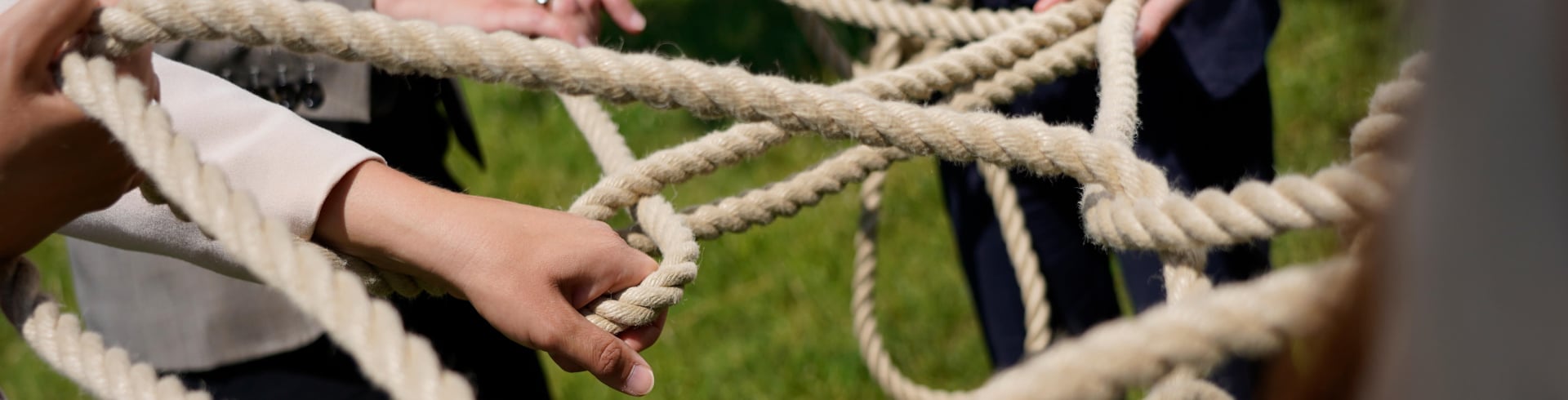 Teamwerte, Werte im Team, Netz