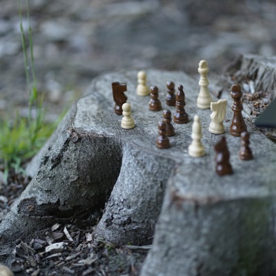 laterale fuehrung_agil fuehren_schachfiguren2 Laterale Führung, Komplexität, Schachfiguren