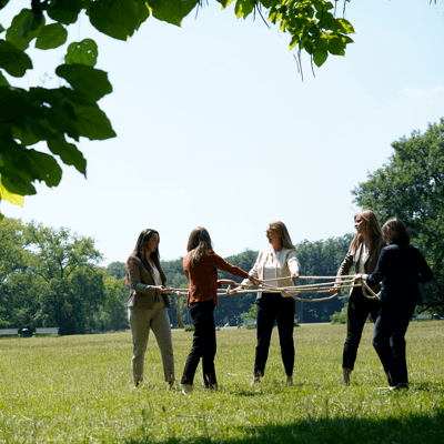 Selbstorganisierte Teams; Selbststeuerung, New Work, Vernetztes Arbeiten