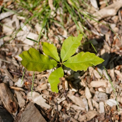 Agentur für Freundlichkeit, Trainee Ausschreibung