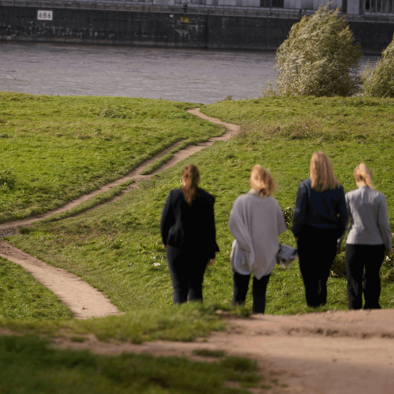 Resilienz in Unternehmen, Organisatorische Resilienz, Anpassung ermöglichen dank DIN Norm