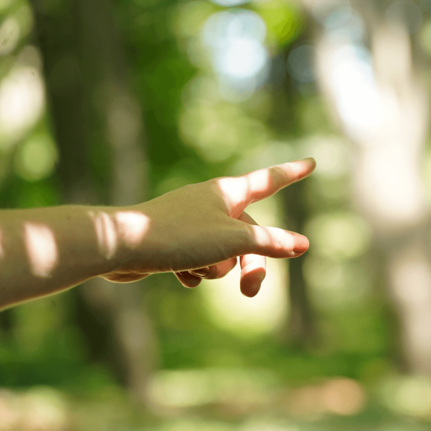 CliftonStrengths, Teamentwicklung, Talente erkennen