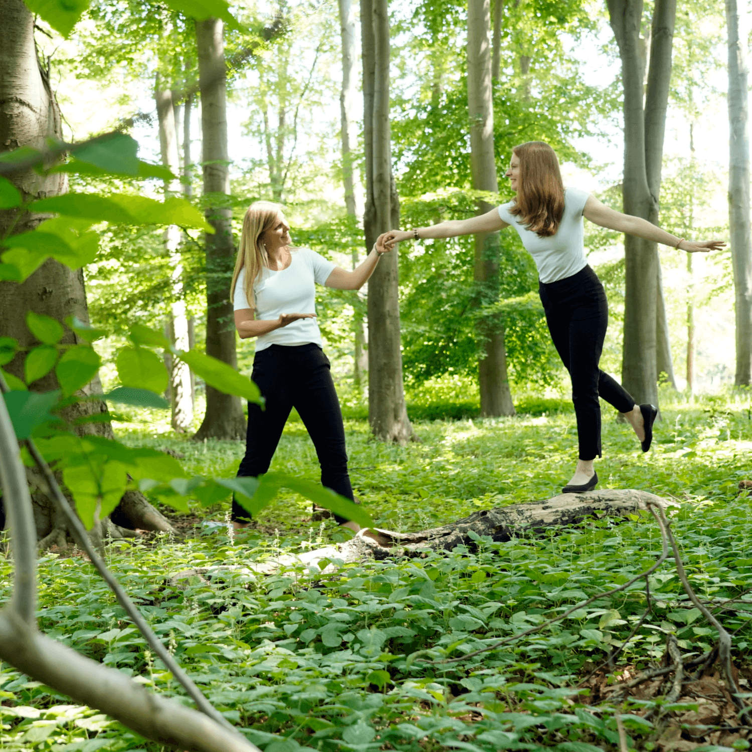 teamfusion_zusammenlegung-neuer-teams_balanceakt Teamfusion, Zusammenlegung von Abteilungen, Balanceakt Zusammenlegungn neuer Teams