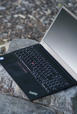 Virtuelle Teams, Virtuelle Teams Zusammenarbeit, Laptop der auf Baumstamm steht