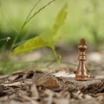 Führung über Motivation, Demotivation, Warnsignale erkennen