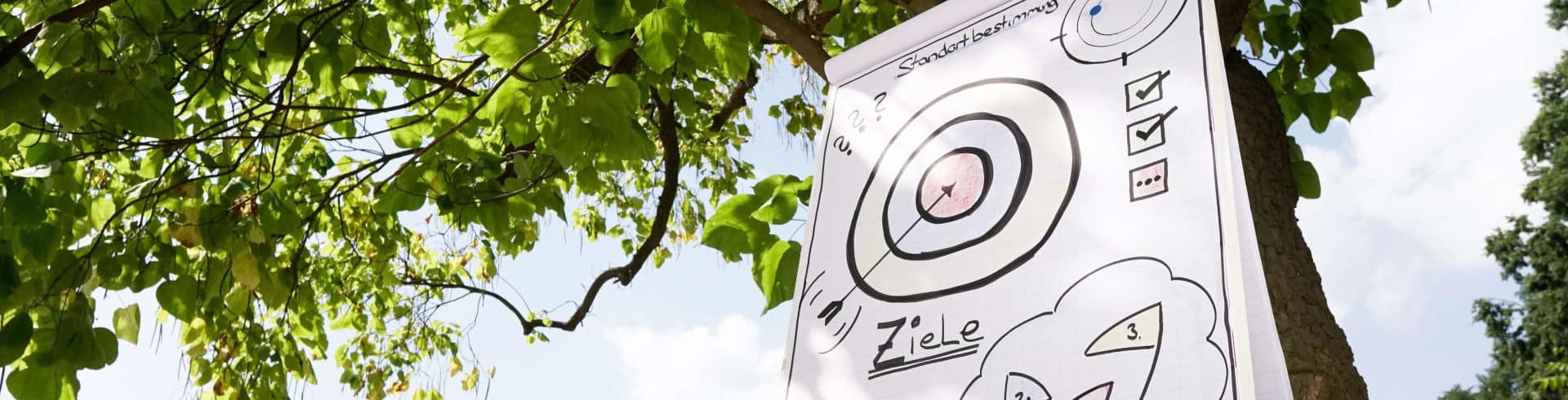 Führungskräfte Coaching, Führungscoaching, Zielscheibe