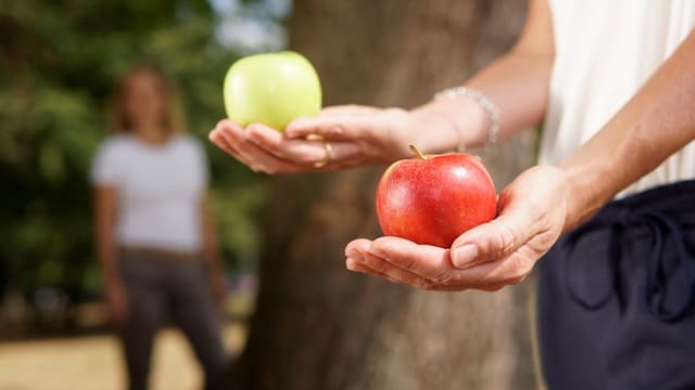 betriebliche-gesundheitsfoerderung_gesundheitsmanagement_zwei-aepfel Betriebliche Gesundheitsförderung, Gesundheitsmanagement, Zwei Äpfel