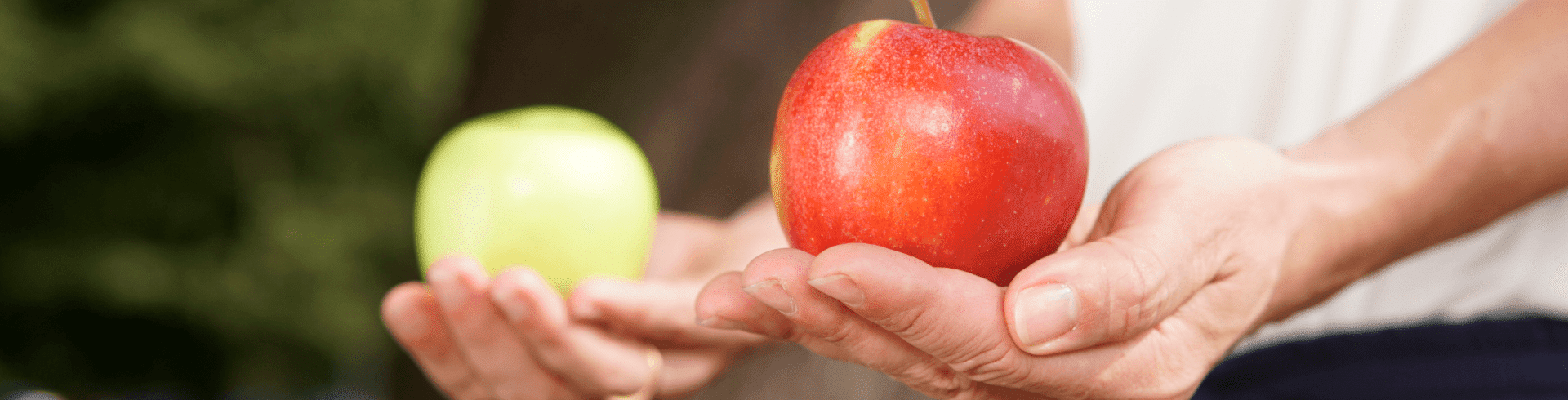 Unternehmensfusion, Fusion, Äpfel