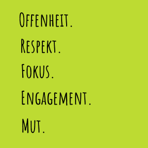 Agilität in Unternehmen, Warum Agilität in Unternehmen, Werte und Haltung