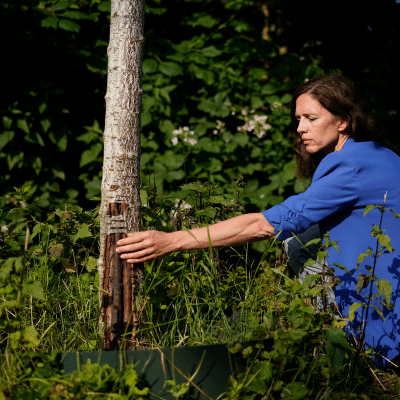 Umgang mit schwierigen Kunden, Kundenorientierte Kommunikation, Bedürfnisse erkennen