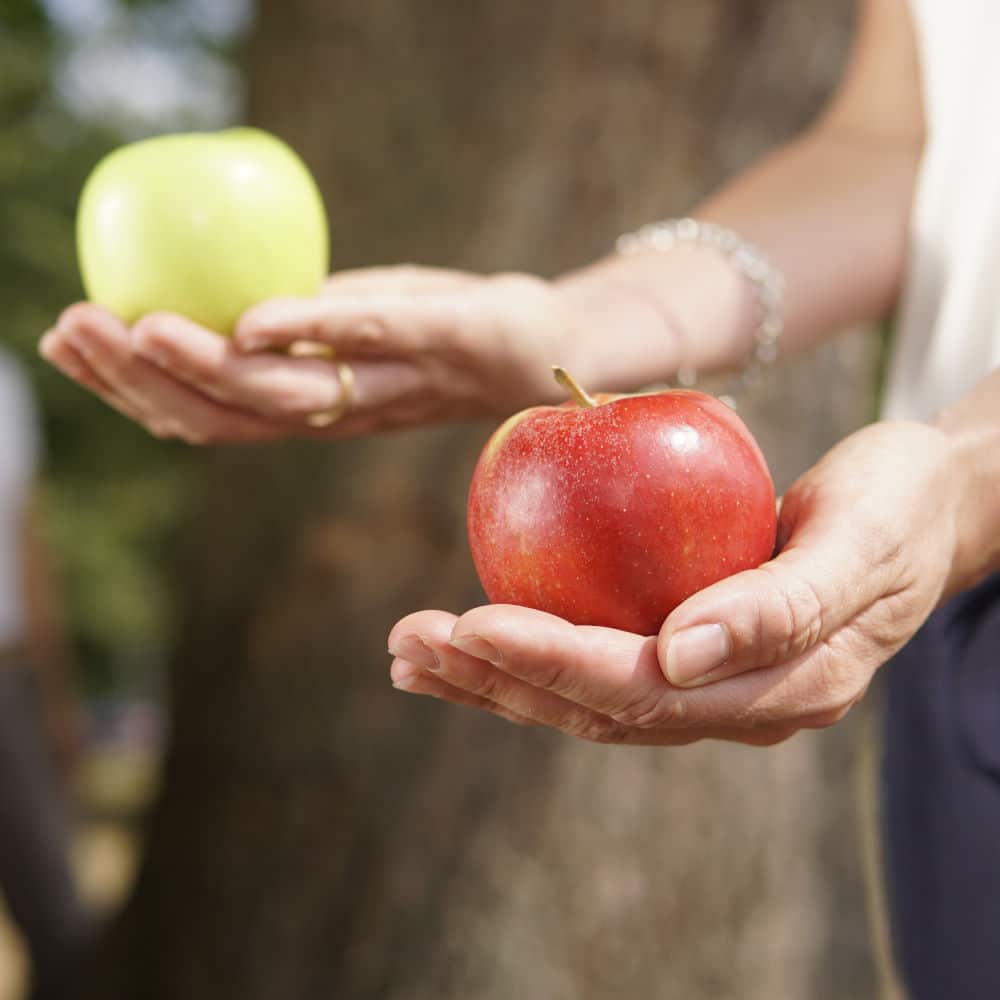 Führungskräfteentwicklung Coaching, Führungskräfte Coaching, Grüner und roter Apfel werden in den Händen gehalten