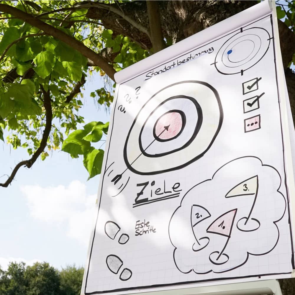 Führungskräfteentwicklung Coaching, Führungskräfte Coaching, Zielscheibe auf Flipchart gemalt
