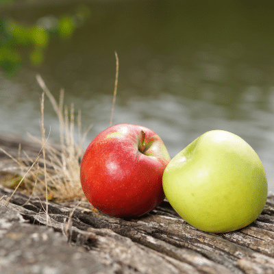 Stressmanagement, Stressmanagement Methoden, roter und grüner Apfel auf Stein