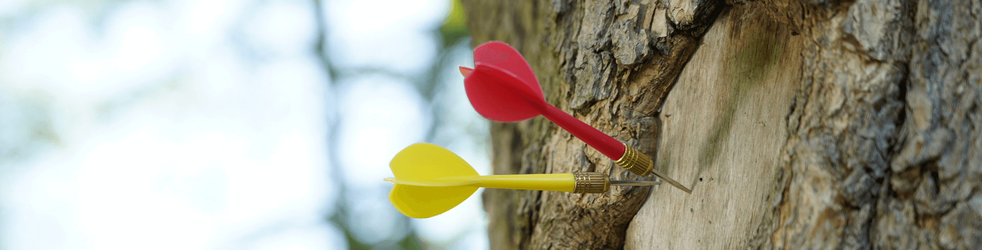 Zeit und Selbstmanagement, Selbstführung, Pfeile in Baum