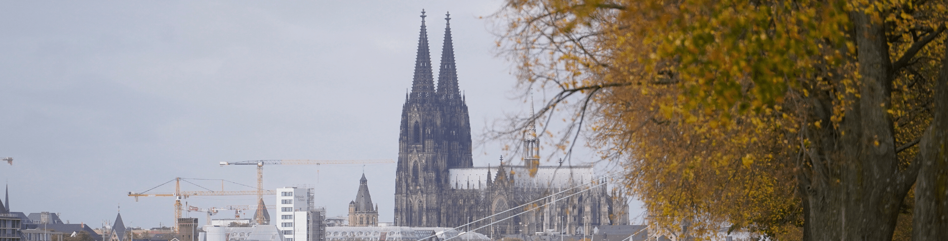Agentur für Freundlichkeit, Beratung, Training, Coaching, Kölner Dom