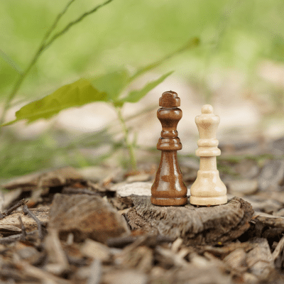 kulturentwicklung_unternehmenskultur_teamfusion Kulturentwicklung, Unternehmenskultur entwickeln, Teamfusion