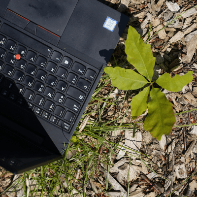 neue-arbeitswelt_virtuelle-teams_laptop-pflanze Neue Arbeitswelt, Virtuelle Teams, Wachstum und Entwicklung