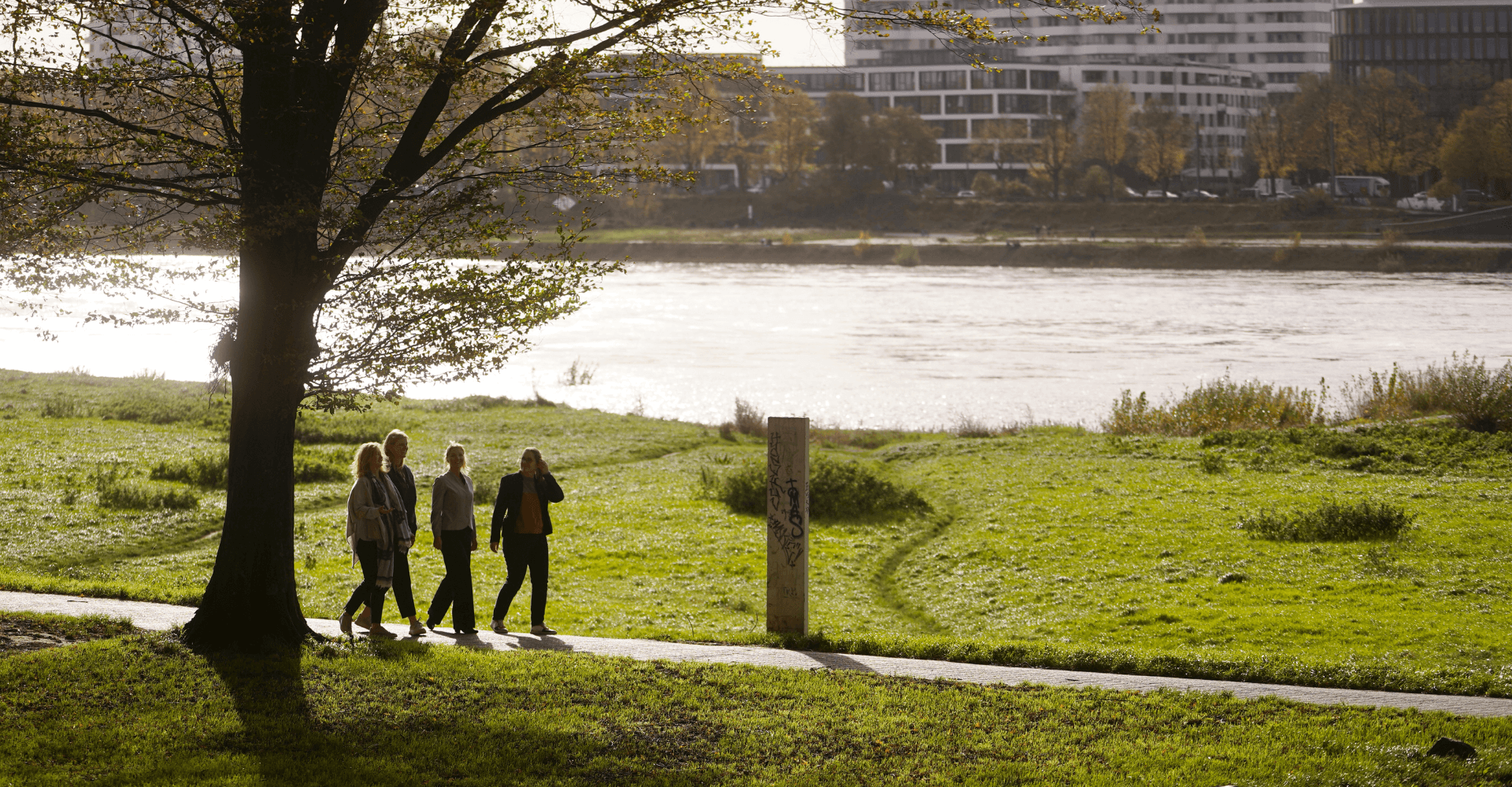 Freundlichkeit lernen, Ihr Weg zum Erfolg mit der Agentur für Freundlichkeit