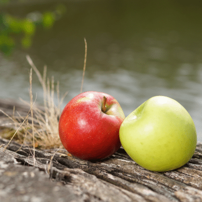 Freundlichkeit, Gesund Arbeiten, Agentur für Freundlichkeit Köln