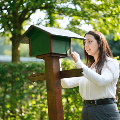 Service Excellence, Mystery Shopping und Mystery Calls, Frau schaut in ein Vogelhaus