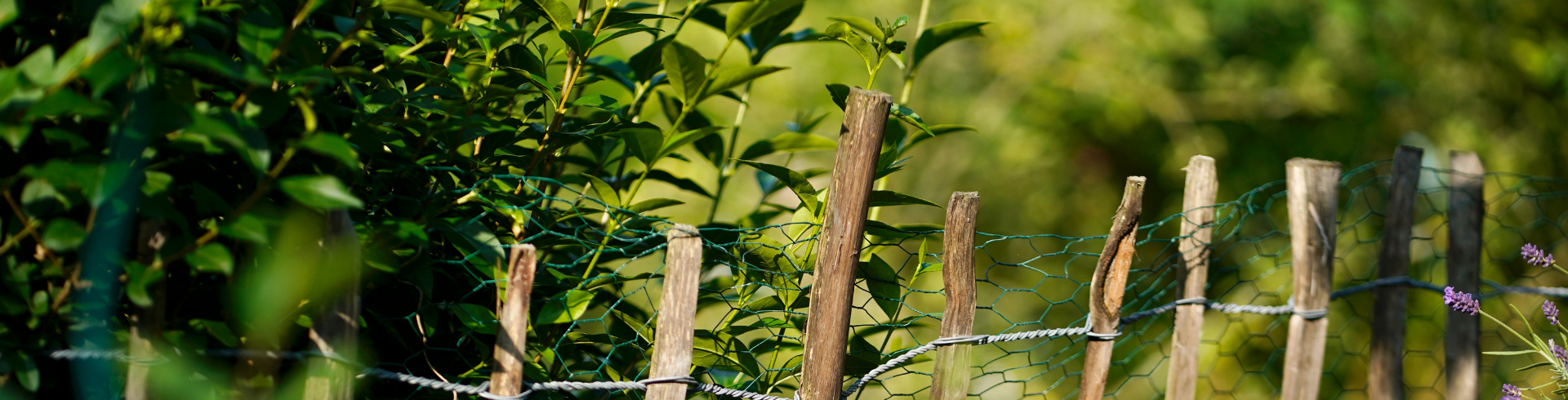 Impressum, Agentur für Freundlichkeit, Coaching Agentur Köln